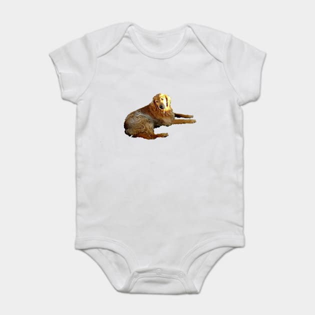 Rex Baby Bodysuit by wendylegeret